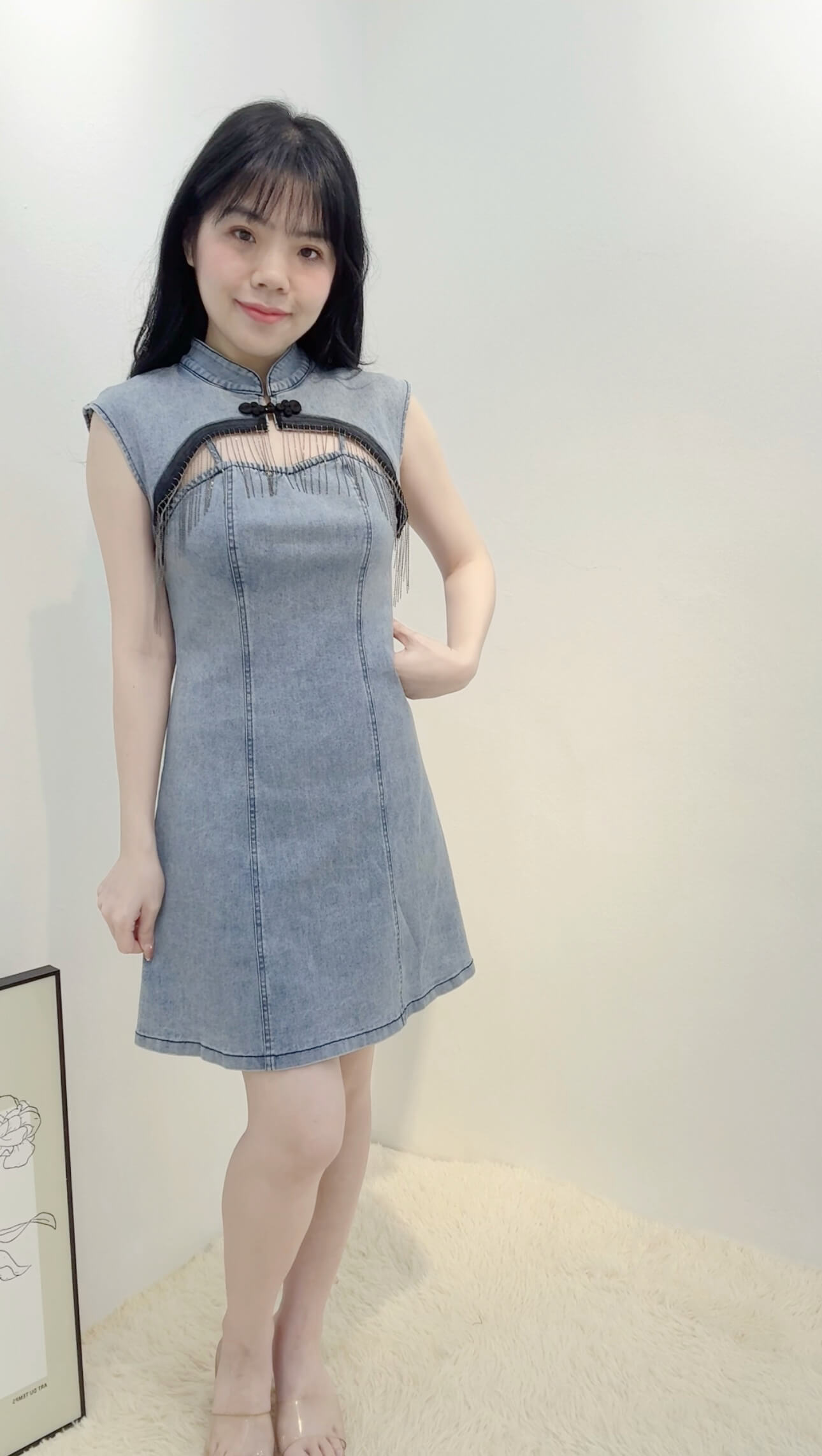 LANI DENIM MANDARIN DRESS