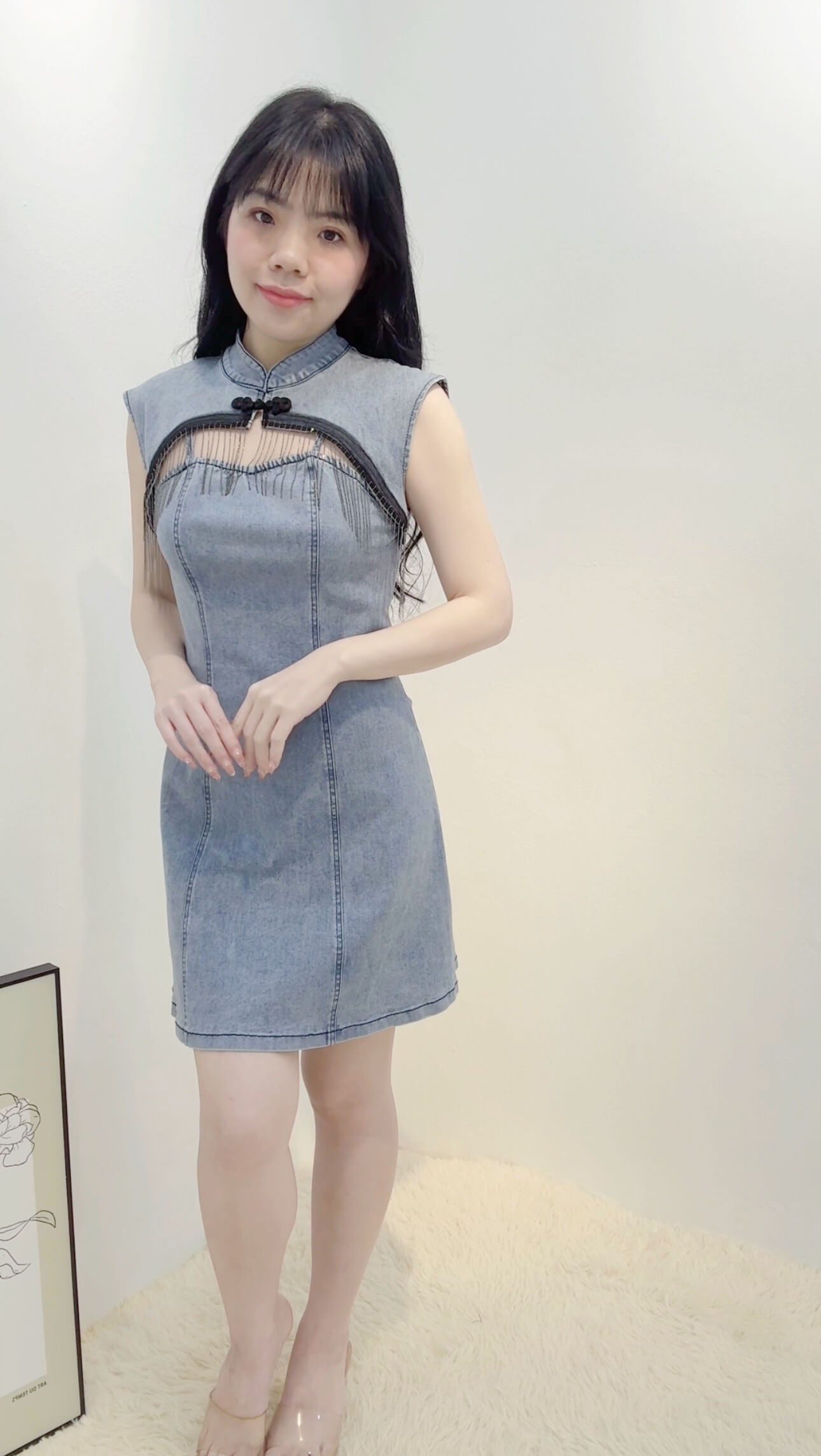LANI DENIM MANDARIN DRESS